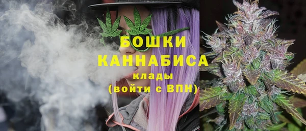 ПСИЛОЦИБИНОВЫЕ ГРИБЫ Богородск