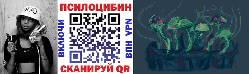 Галлюциногенные грибы MAGIC MUSHROOMS  Трубчевск 